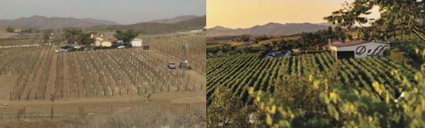 Doffo Winery photo from late 90s next to photo from 2020