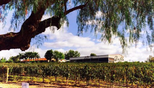 New Year’s Resolutions and The Year Ahead at Doffo Winery