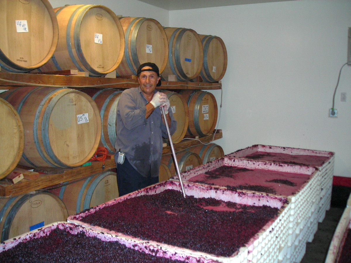 Marcelo early winemaking