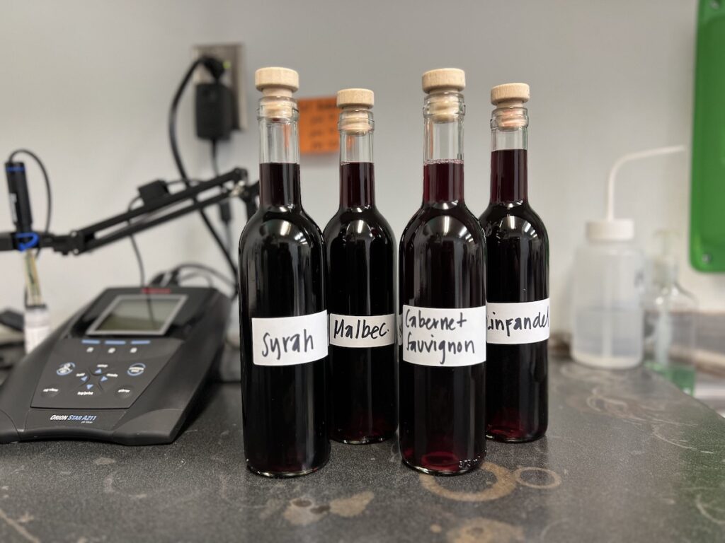 barrel samples of wines in the winemaking lab