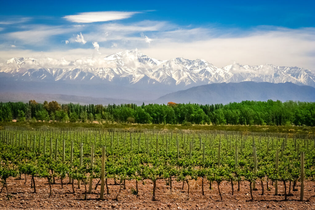 Luxury Wine Tour in Argentina 2027.